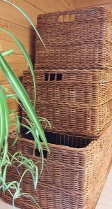 Dubový šuplík 30x47, v 22 cm