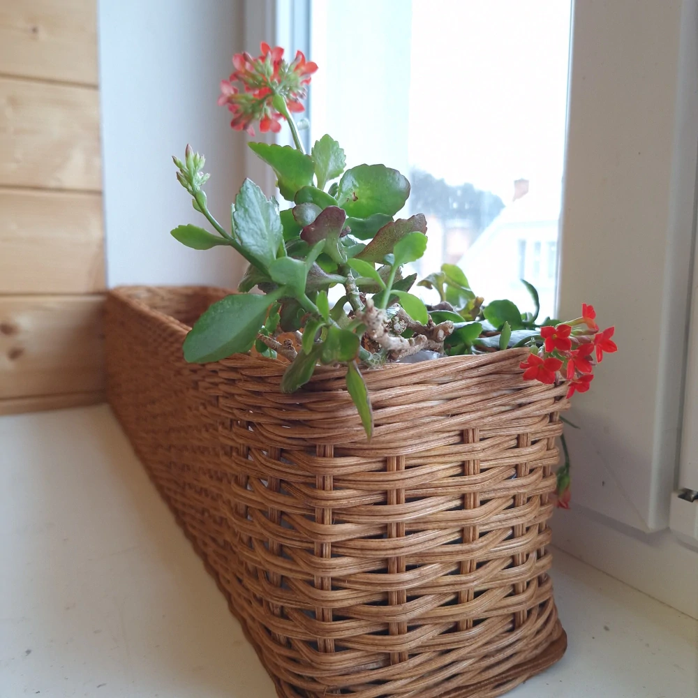 Proutěné truhlíky